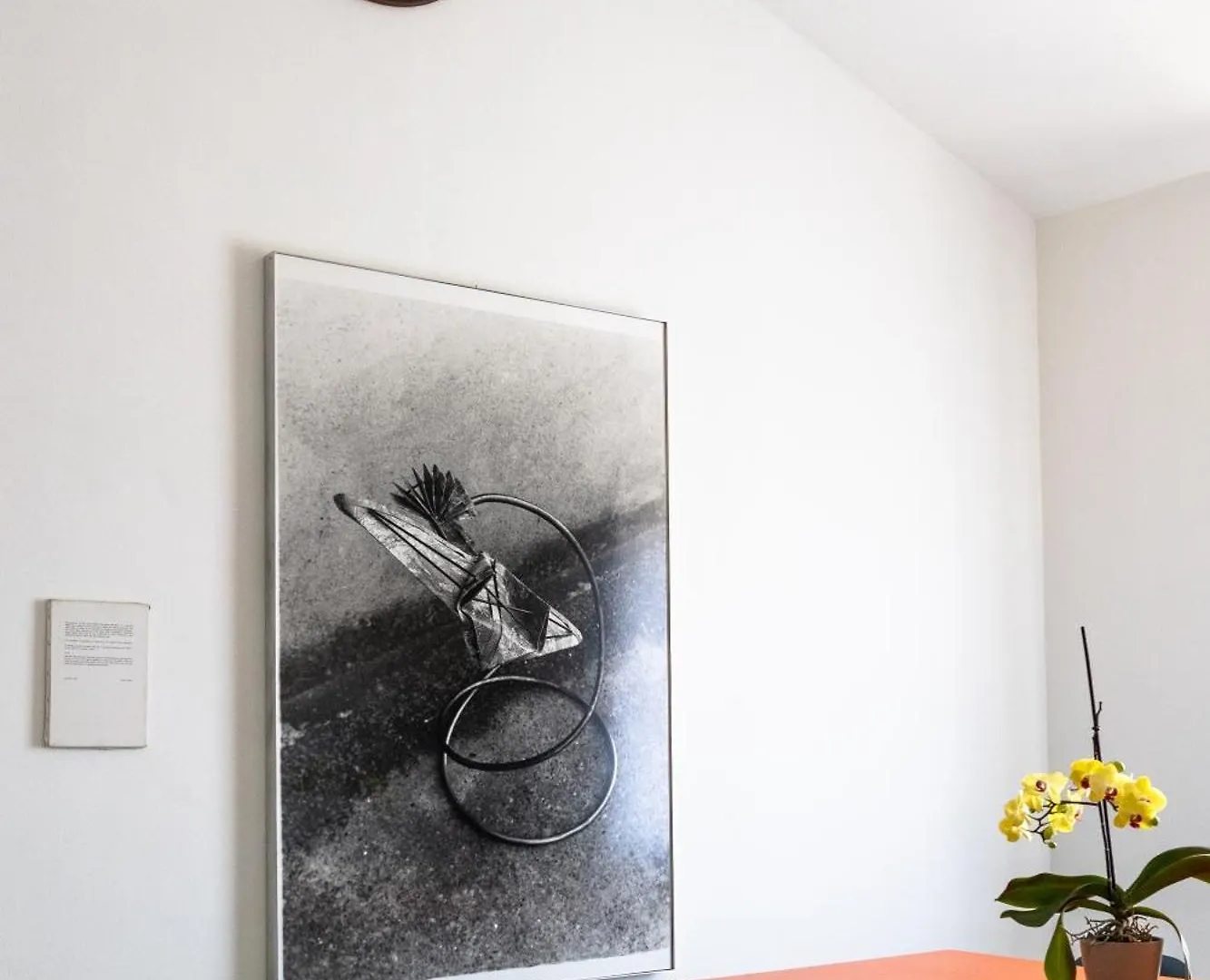 Art Apartments Sarzana - Casa Con Giardino - Capitano Izim